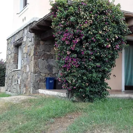 Poggio Dei Fiori F1 *