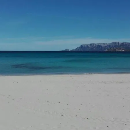 Daire Poggio Dei Fiori F1 Olbia